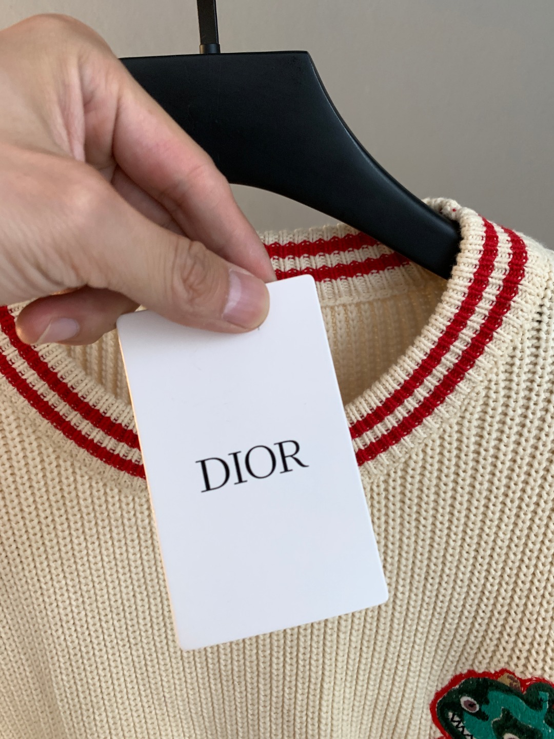 Dior Small Dinosaur Pattern Knit Sweater Beige Round Neck Premium Designer Pullover - Image 6