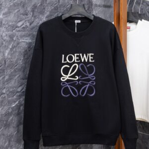 LOEWE J0201 Color-Block Embroidered Hoodie 460g Heavyweight Cotton