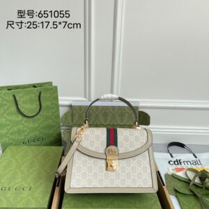 Gucci Style 651055 Oatmeal Color Premium Quality Handbag with Full Packaging