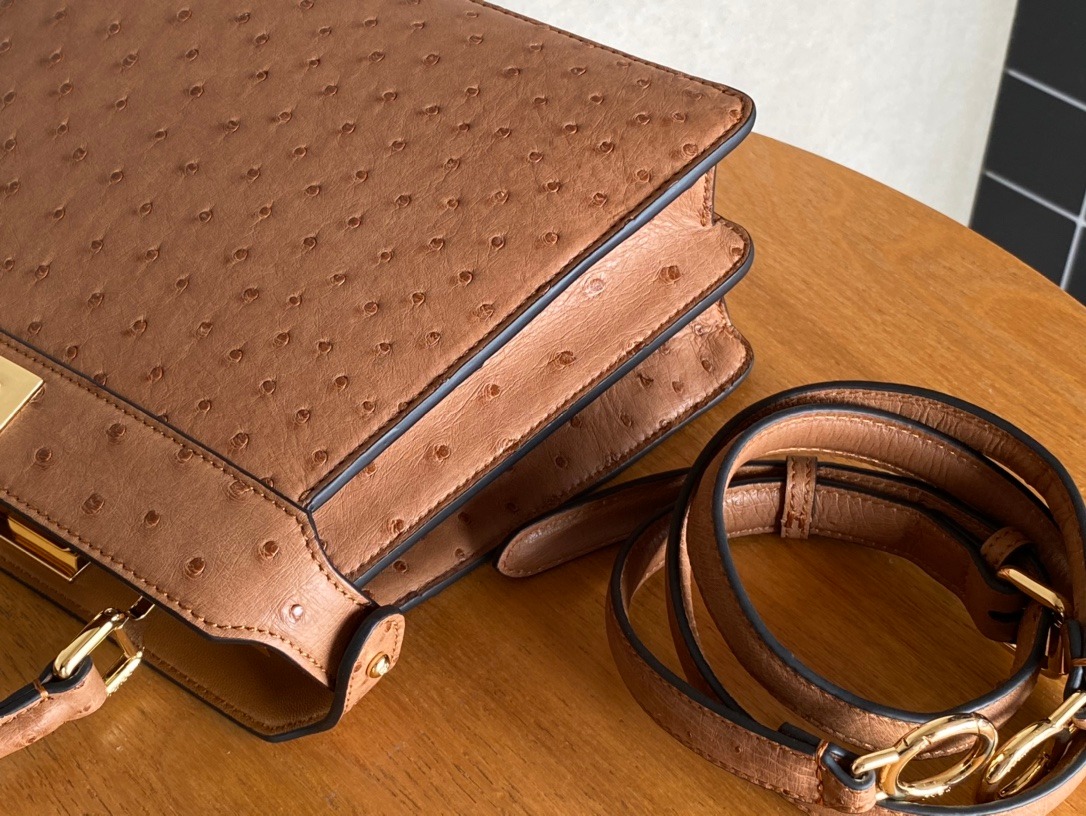 Peekaboo Ostrich Leather Bag Rare Premium Design - Image 5