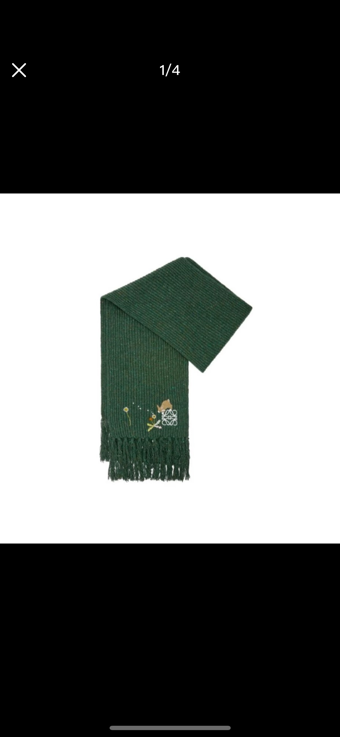 Loewe Inspired Sunafujita Style Cashmere Scarf Bunny Floral Embroidery Jacquard Tassel 30 x 200 cm