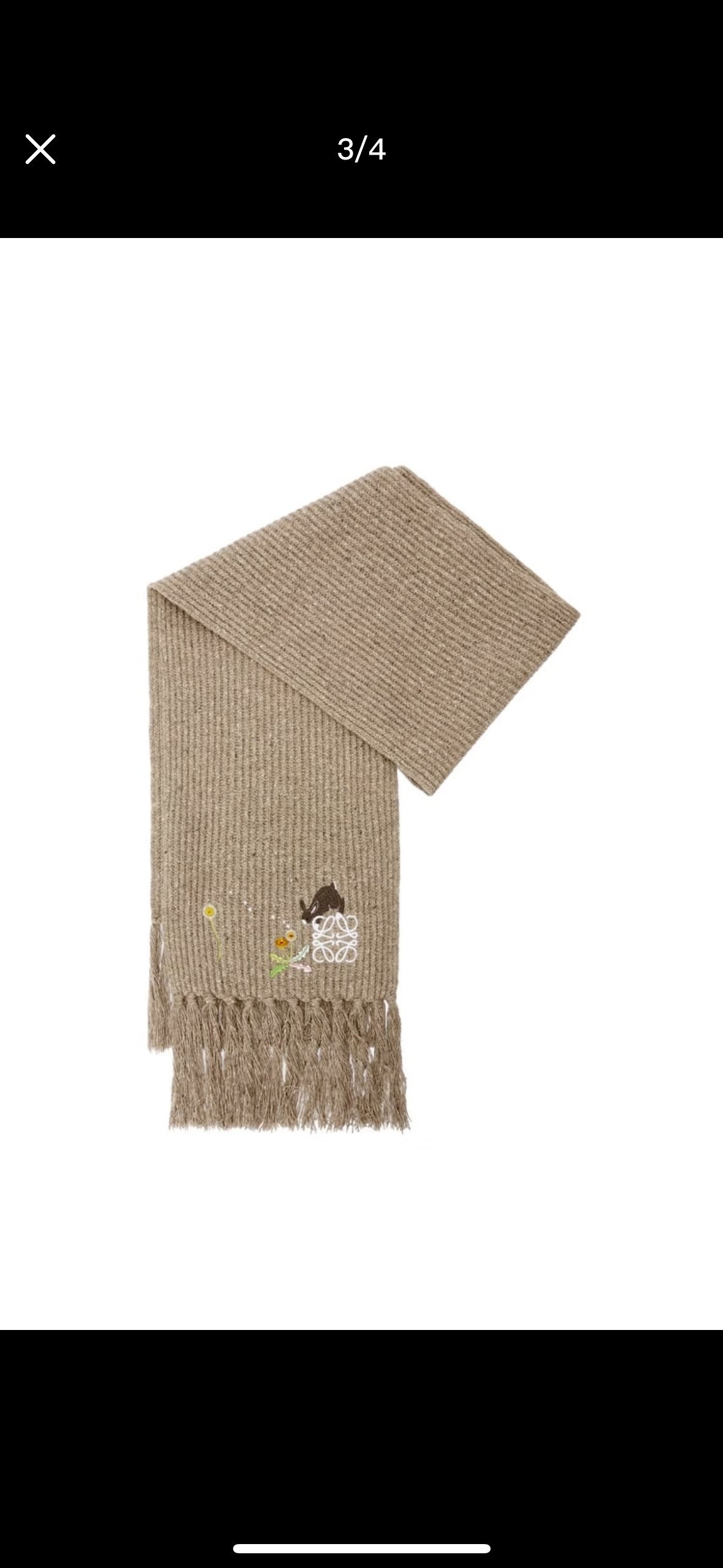 Loewe Inspired Sunafujita Style Cashmere Scarf Bunny Floral Embroidery Luxury Tassel Design