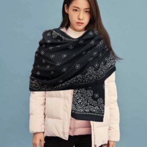 Celine 2026 Double-Sided Printed Cashmere Scarf Luxury Shawl 65x185cm