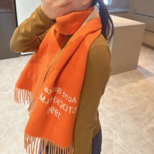Premium Soft Color Scarf Elegant Minimalist Shawl 2025 New Design