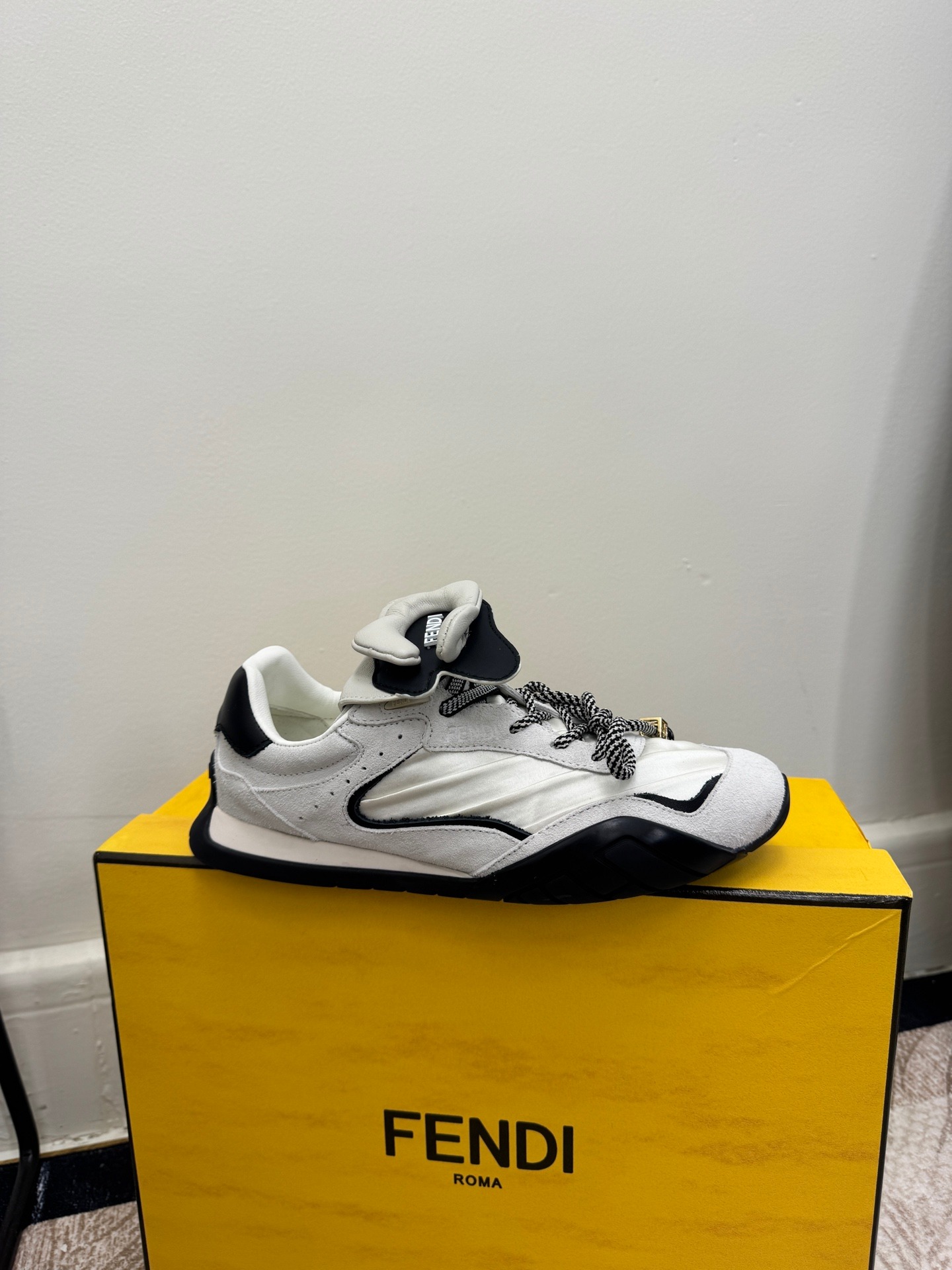 Fendi Delfina Casual Sneakers Fashion Show Edition Luxury Trainers