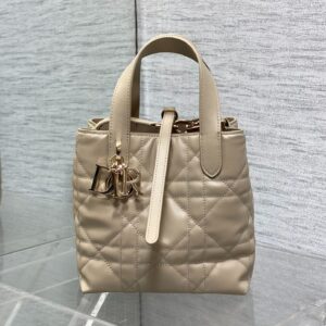 Toujours Vertical Series Small Handbag Apricot Edition