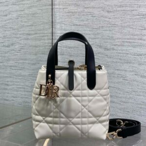Toujours Vertical Series Panda Black & White Color-Block Mini Handbag with Gold Buckle